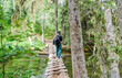 Hiking trail. Young explore man with backpack crossing a bridge in a beautiful Canadian forest. Concept of travel, fitness and healthy lifestyle outdoors in summer nature. Ecotourism