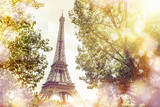 Fototapeta Boho - View on Eiffel tower through green summer trees with sunset rays. Beautiful Romantic background. Eiffel Tower from Champ de Mars, Paris, France.