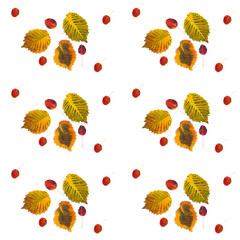 Wall Mural - pattern multicolored autumn leaves