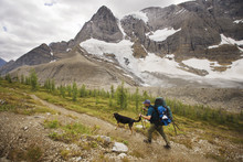Hiker And Dog, Tumbling Pass, The Rockwall Trail, Kootenay National Park, British Columbia, Canada
