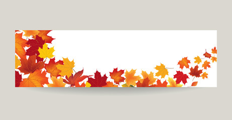 Fall leaf nature banner. Autumn leaves background. Season floral border