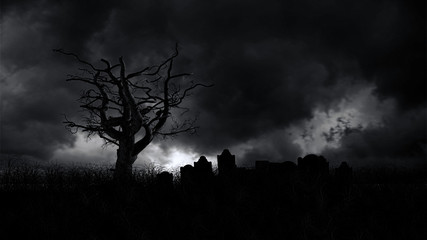 Wall Mural - dark horror forest gravestone .