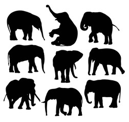 Wall Mural - Elephant Silhouettes, illustration art vector design