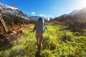 Wall Mural - Hike in Glacier Park