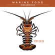 Spiny Lobster. Marine Food