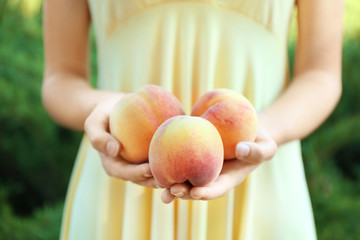 Wall Mural - Female hands holding ripe peaches, close up