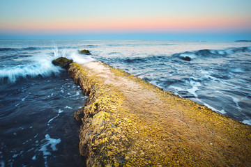 Wall Mural - overgrown with moss pier