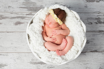 Wall Mural - lovely sleeping newborn girl in eggshell basket