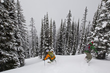 A Man Skis Deep Powder In The Monashees While Cat Skiing. Vernon, Britsh Columbia, Canada