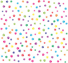 Pet Paws Colorful On White Seamless Pattern Background.