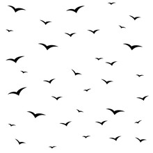 Seagulls Swarm Or Other Black Birds Silhouette Seamless Pattern