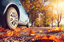 Car On Asphalt Road On Autumnr Day At Park