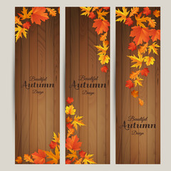 Wall Mural - Vector set of colorful autumn leaves banners illustration
