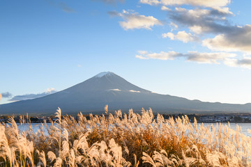 Wall Mural - Mount Fuji at Lake Kawaguchi, Japan