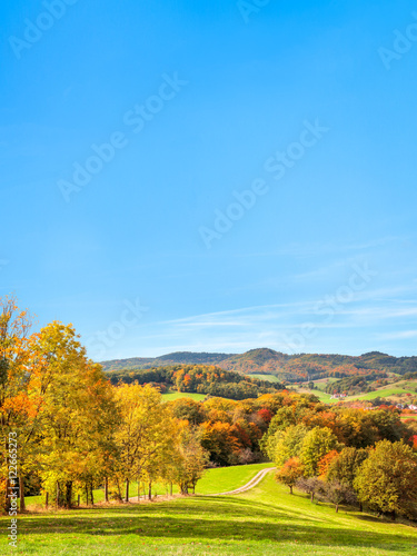 Foto-Schiebegardine mit Schienensystem - Landschaft im Herbst als Hintergrund (von eyetronic)
