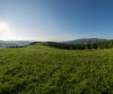 Fototapeta Sawanna - Mountain meadow with green grass, trails and forest
