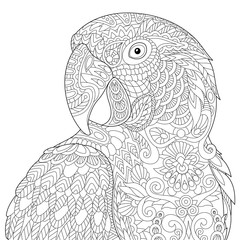 stylized macaw (arara) parrot, isolated on white background. freehand sketch for adult anti stress c