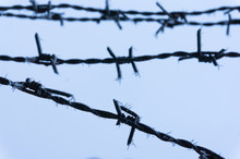Frost On Barbed Wire