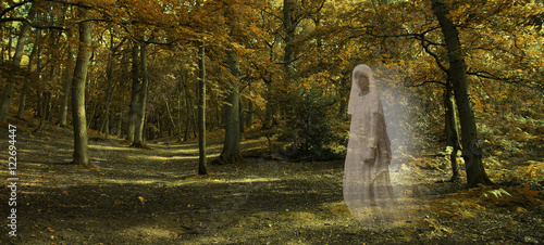Fotomural Ghostly figure gliding through Autumn Forest - Wide autumnal woodland scene wit