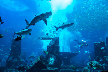 Large aquarium in Hotel Atlantis in Dubai