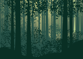 Abstract Forest Landscape