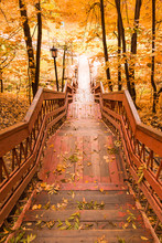 Wooden Stairs With Leaves In The Autumn Forest