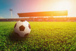 Soccer ball on Green grass in soccer stadium