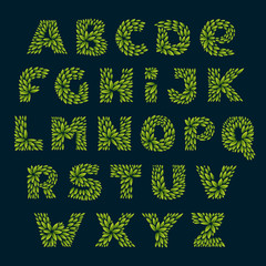 Alphabet logos formed by fresh green leaves.