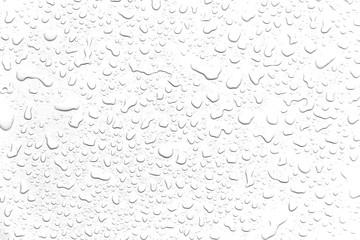 Leinwandbilder - The concept of water drops on a white background