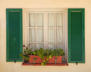 Wall Mural - rustic window with old green shutters and flower pot