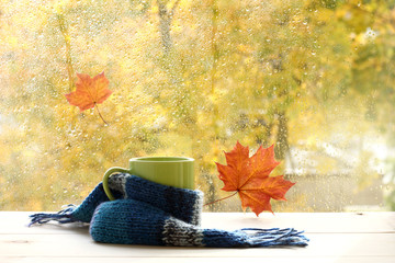 Wall Mural - season when you need warm drinks/ green circle in the scarf, the window with maple leaves and drops after rain in autumn 