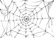 Black spider web on white background
