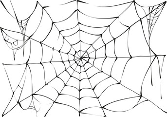 black spider web on white background