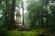 Shrine of the god in the rain forest ,Chiang mai,Thailand