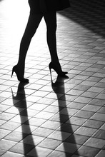 Female Legs In Stylish Shoes