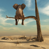 Fototapeta Fototapety na ścianę do pokoju dziecięcego - Elephant stands on thin branch of withered tree