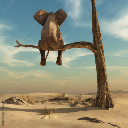 Obraz w ramie Elephant stands on thin branch of withered tree