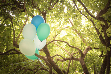 Balloon in the tree background vintage color tone.