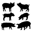 Pig silhouettes set. Vector illustration
