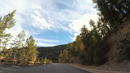 Fototapete - POV point of view - Driving through  alpine forest in the Autumn