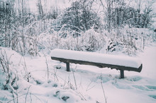 Winter Landscape With Wooden Bench Covered With Snow, Northern Seasonal Hipster Background.
