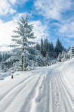 Góry Beskid Żywiecki- Zwardoń