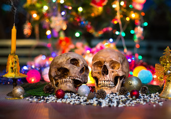 Still Life, two skull on new year night, Image blur style and se