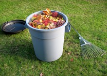 Plastic Trash Container Full Of Yellow And Red Leaves With Lid And Lawn Rake