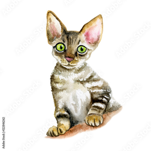 Watercolor Close Up Portrait Of Popular Devon Rex Cat Short Haired
