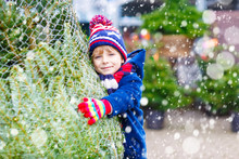 Beautiful Smiling Little Boy Holding Christmas Tree