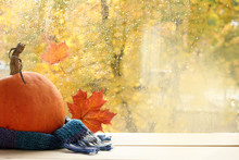 Holiday Outfit For A Happy Halloween/ Ripe Pumpkin Wrapped In A Woolen Scarf Next To The Window With The Autumn Landscape
