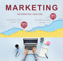 Wall Mural - marketing business plan strategy vision commercial concept