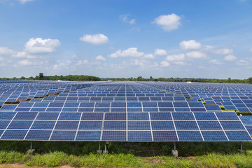 Wall Mural - photovoltaics solar panels in solar power station alternative energy from nature