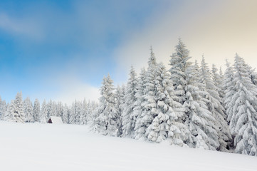 Snowy winter in mountains